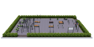 По приказу Минспорта № 852