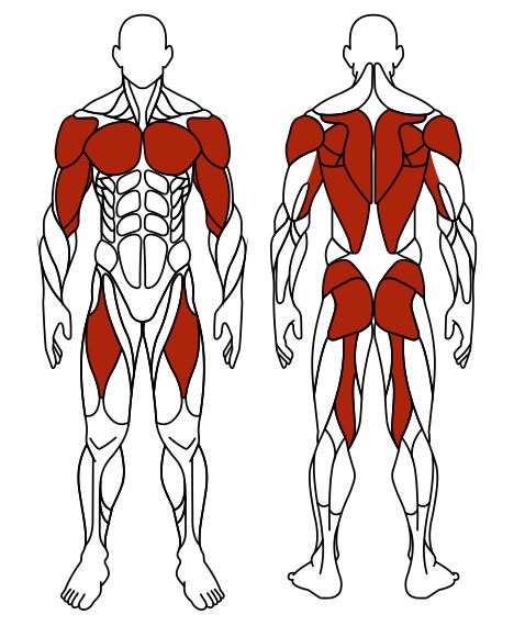 СТ 009 Двойные лыжи.JPG