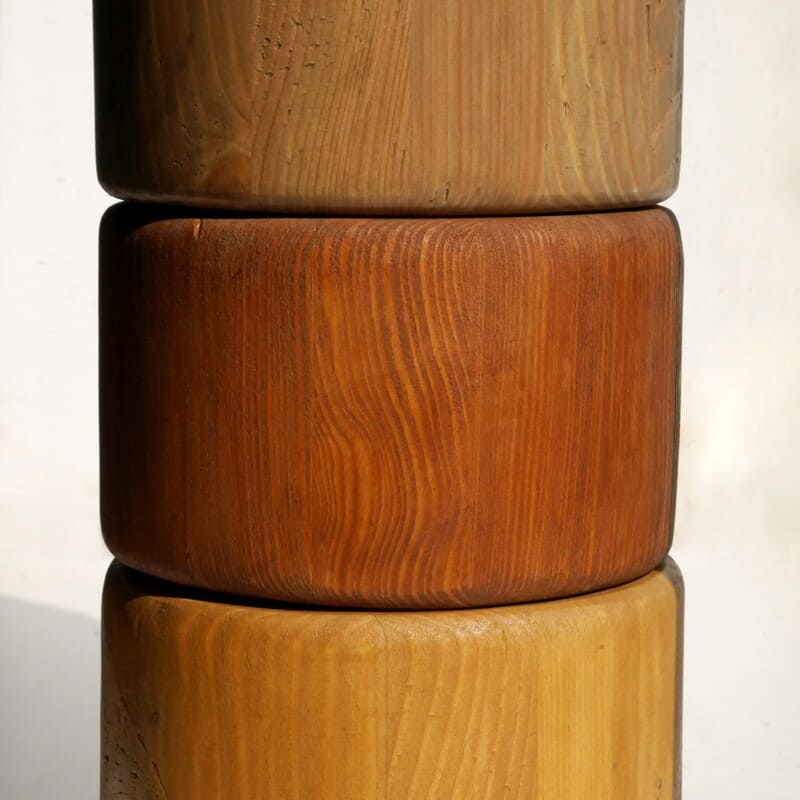 оттенки лиственницы